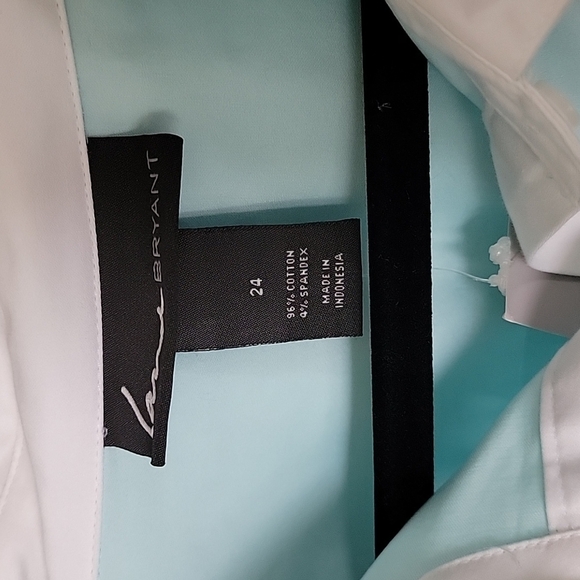 Lane Bryant Sweet Twee Pastel NWT size 24 button down long sleeve blouse - Picture 2 of 6